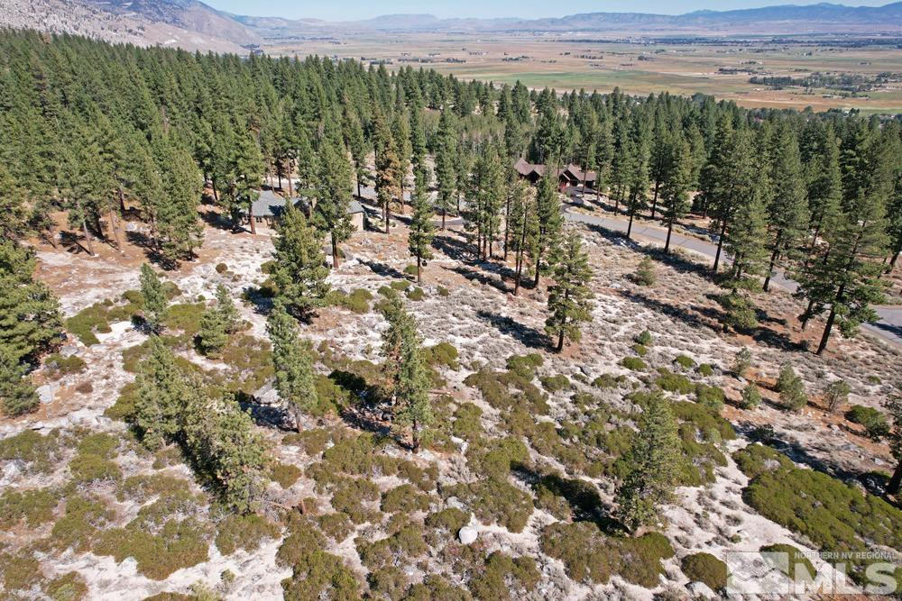 168 Five Creek Road, Unit 3 Gardnerville, NV 89460 - Photo 8 of 21 a view of a city with lush green forest