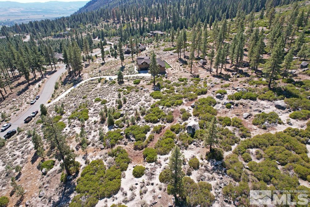168 Five Creek Road, Unit 3 Gardnerville, NV 89460 - Photo 9 of 21 a view of outdoor space with lots of trees