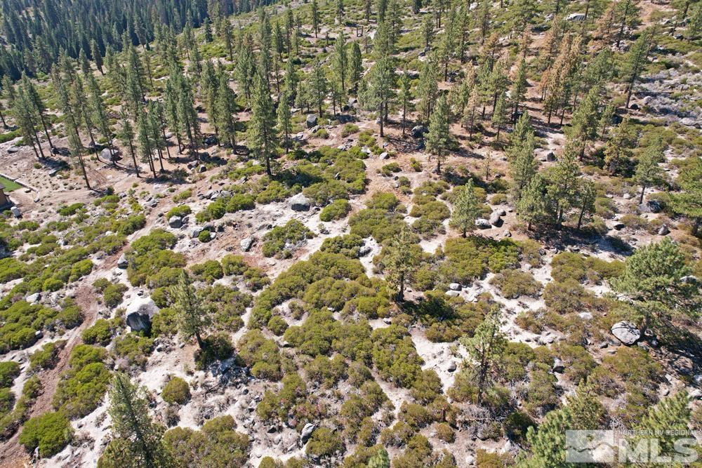 168 Five Creek Road, Unit 3 Gardnerville, NV 89460 - Photo 10 of 21 a view of a yard with a tree
