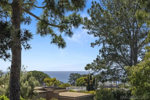 a view of a lake with a mountain in the background