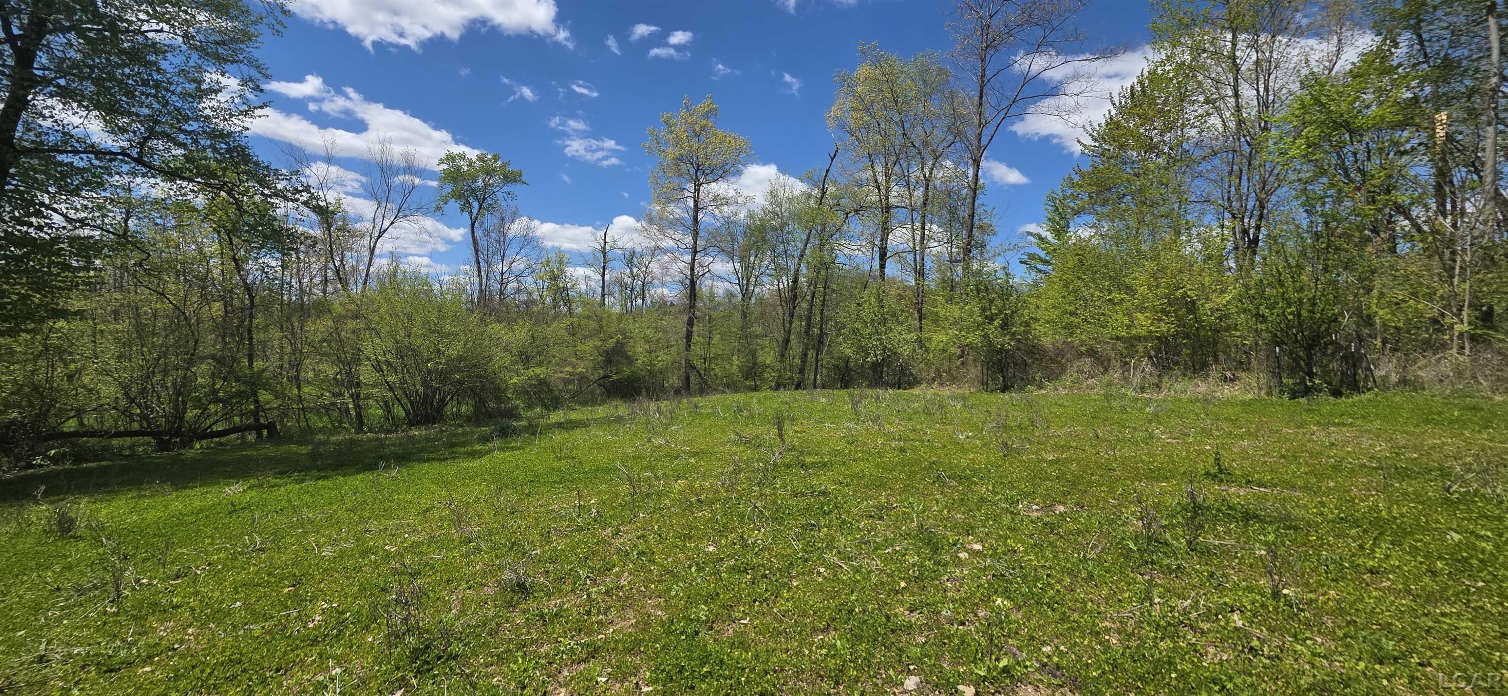 15252 27 Mile Road Albion, MI 49224 - Photo 24 of 57