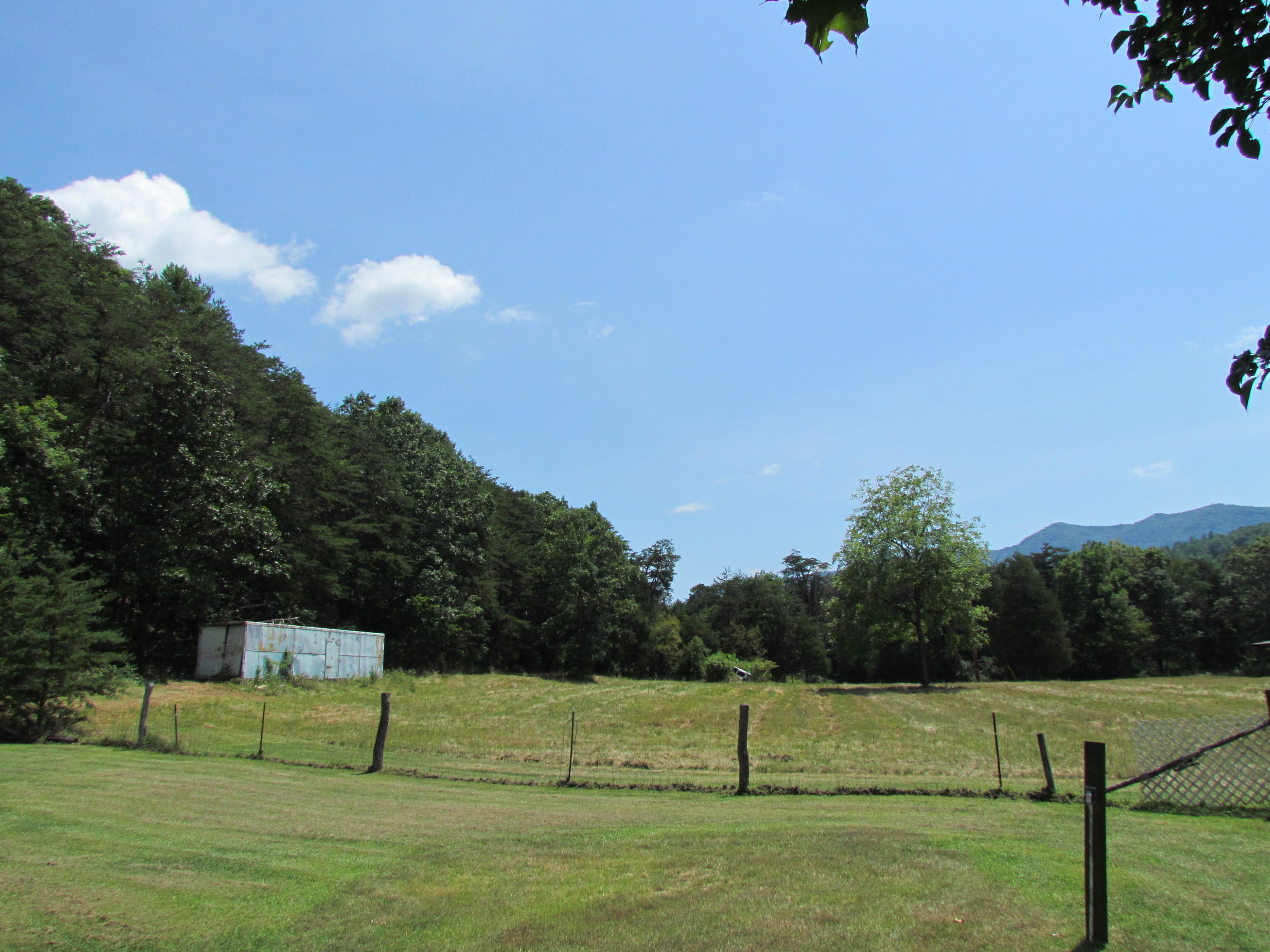 571 Dagger Spring Road Eagle Rock, VA 24085 - Photo 14 of 23 Pasture/Field 1