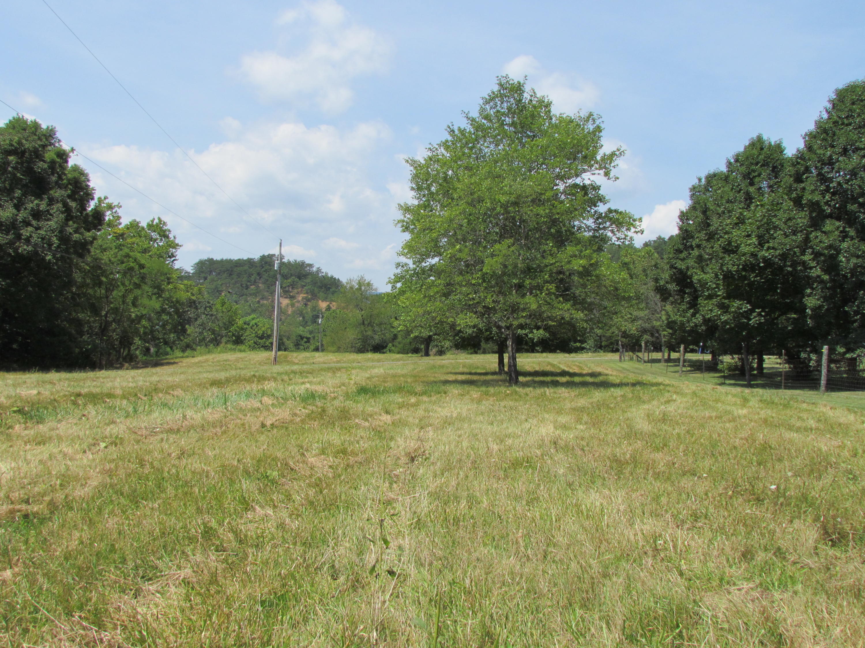 571 Dagger Spring Road Eagle Rock, VA 24085 - Photo 15 of 23 Pasture/Field 3