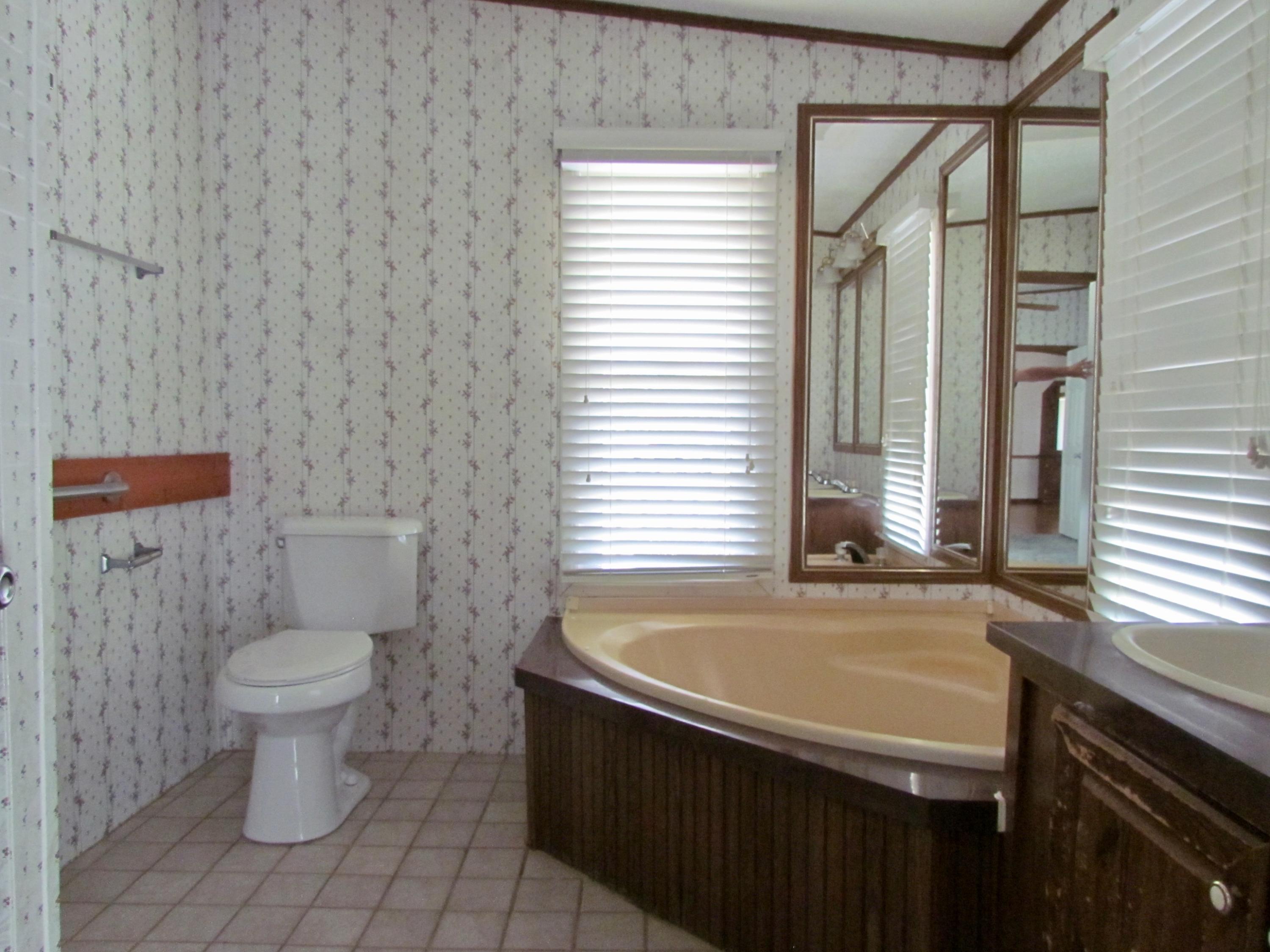 571 Dagger Spring Road Eagle Rock, VA 24085 - Photo 10 of 23 Master Bath
