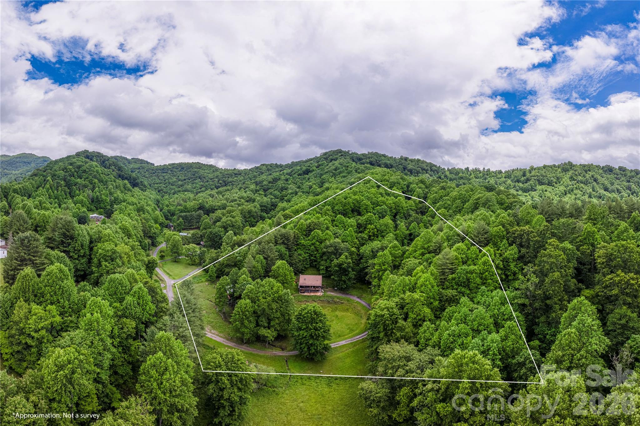262 Gibson Branch Road Clyde, NC 28721 - Photo 27 of 28