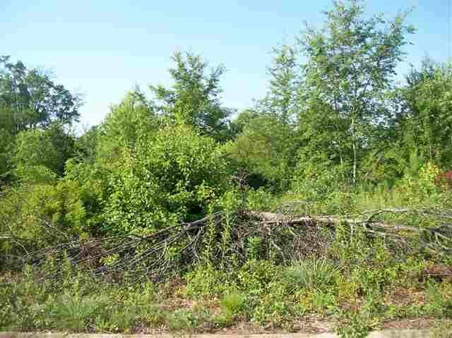 Lot P Riverside Court Greer, SC 29650 - Photo 2 of 12 Gallery Image 2
