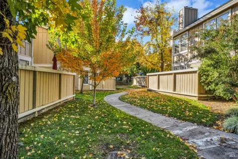 a view of a backyard with pathway