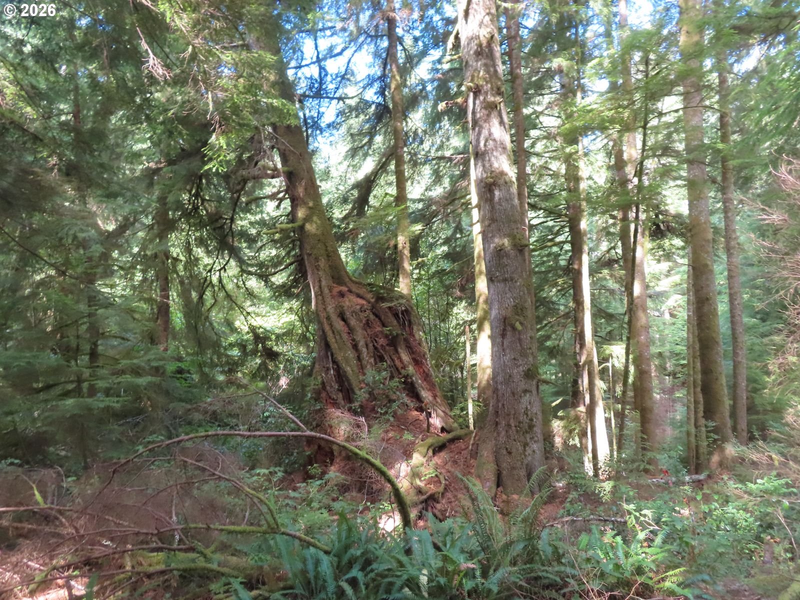 101 State Route South Bend, WA 98586 - Photo 15 of 30 Gallery Image 15