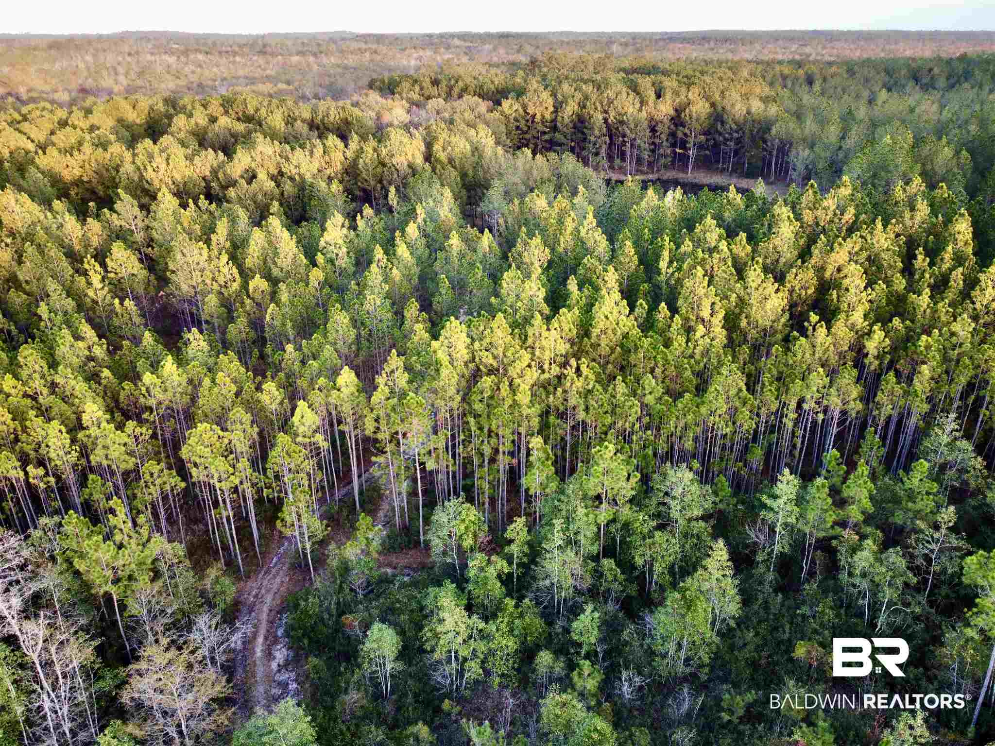 0 Country Road Fruitdale, AL 36539 - Photo 13 of 47