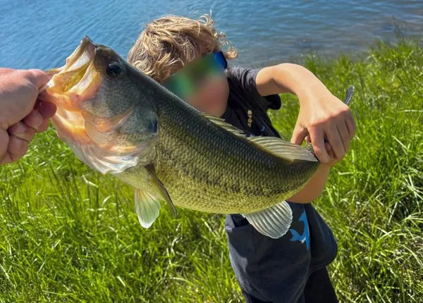 $316,725 | 42.23-acres Southeast 42.23-acres Se 1151st Road, Windsor, MO 65360