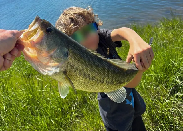 $348,400 | 42.23-acres Southeast 42.23-acres Se 1151st Road, Windsor, MO 65360