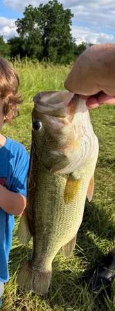 $316,725 | 42.23-acres Southeast 42.23-acres Se 1151st Road, Windsor, MO 65360