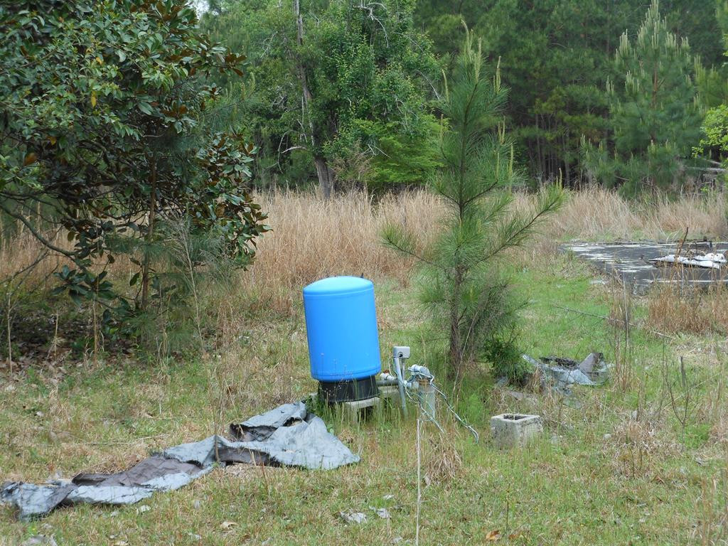 926 Munnerlyn Road Waynesboro, GA 30830 - Photo 3 of 22