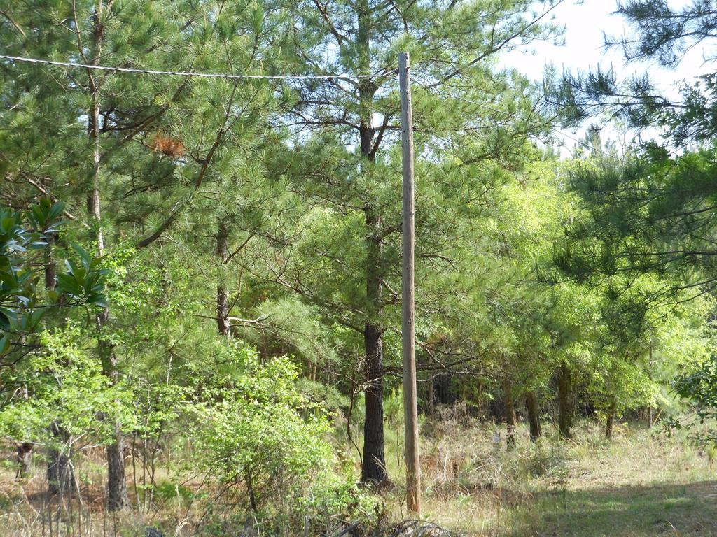 926 Munnerlyn Road Waynesboro, GA 30830 - Photo 6 of 22