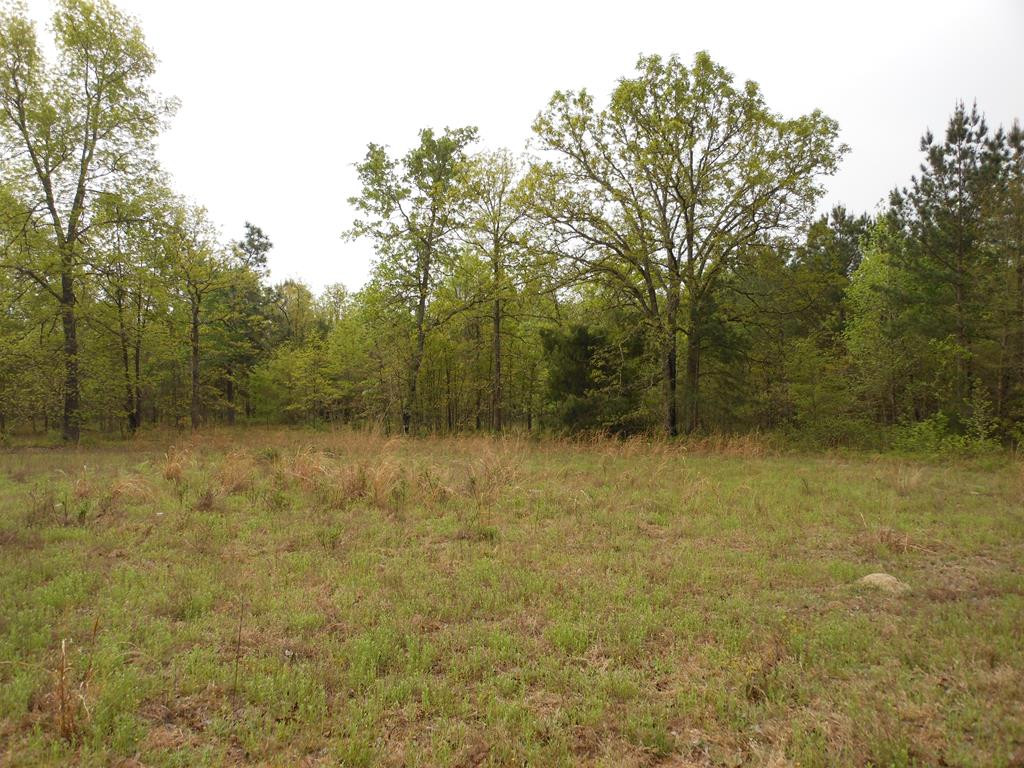 926 Munnerlyn Road Waynesboro, GA 30830 - Photo 8 of 22