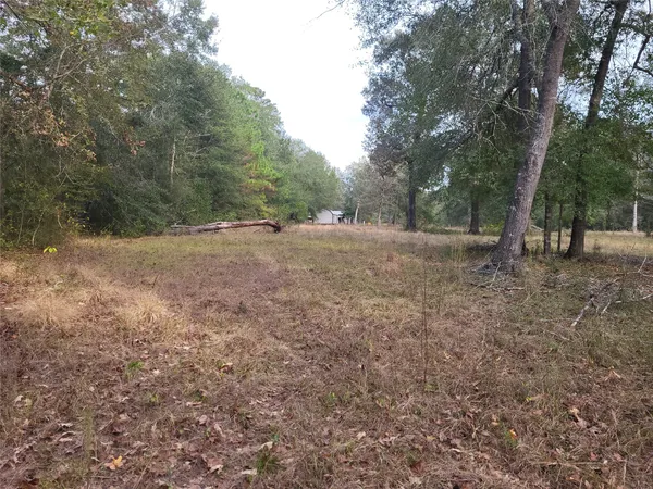 a view of an outdoor space with trees
