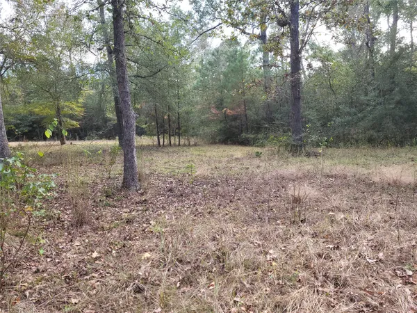 a view of a yard with trees in the background