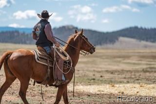 33185-9 9th Hartsel, CO 80449 - Photo 19 of 20