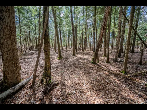 $175,000 | Lot 21 Bonita Point, Eagle River, WI 54521
