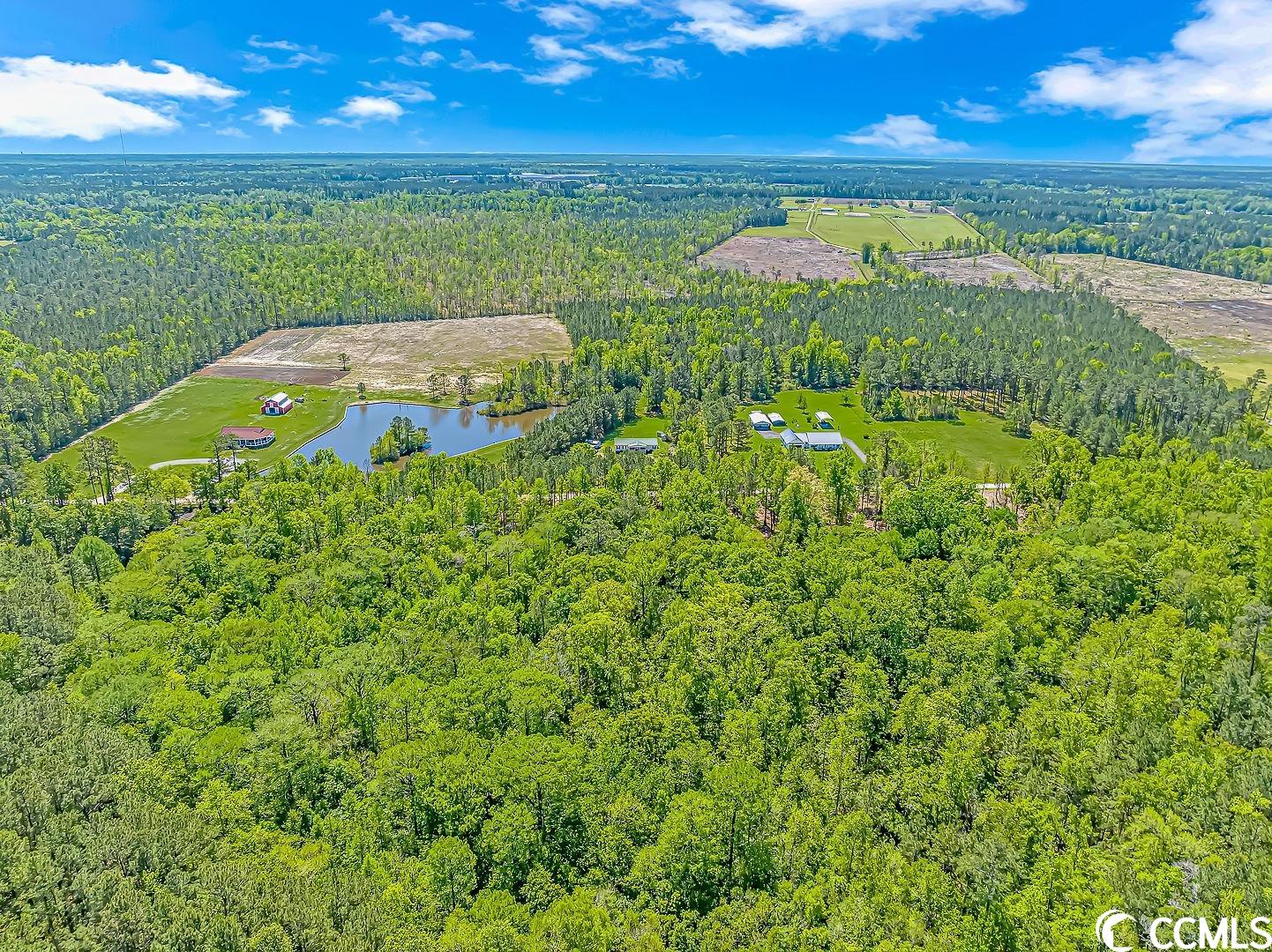 Tbd Tranquil Road Conway, SC 29527 - Photo 11 of 12