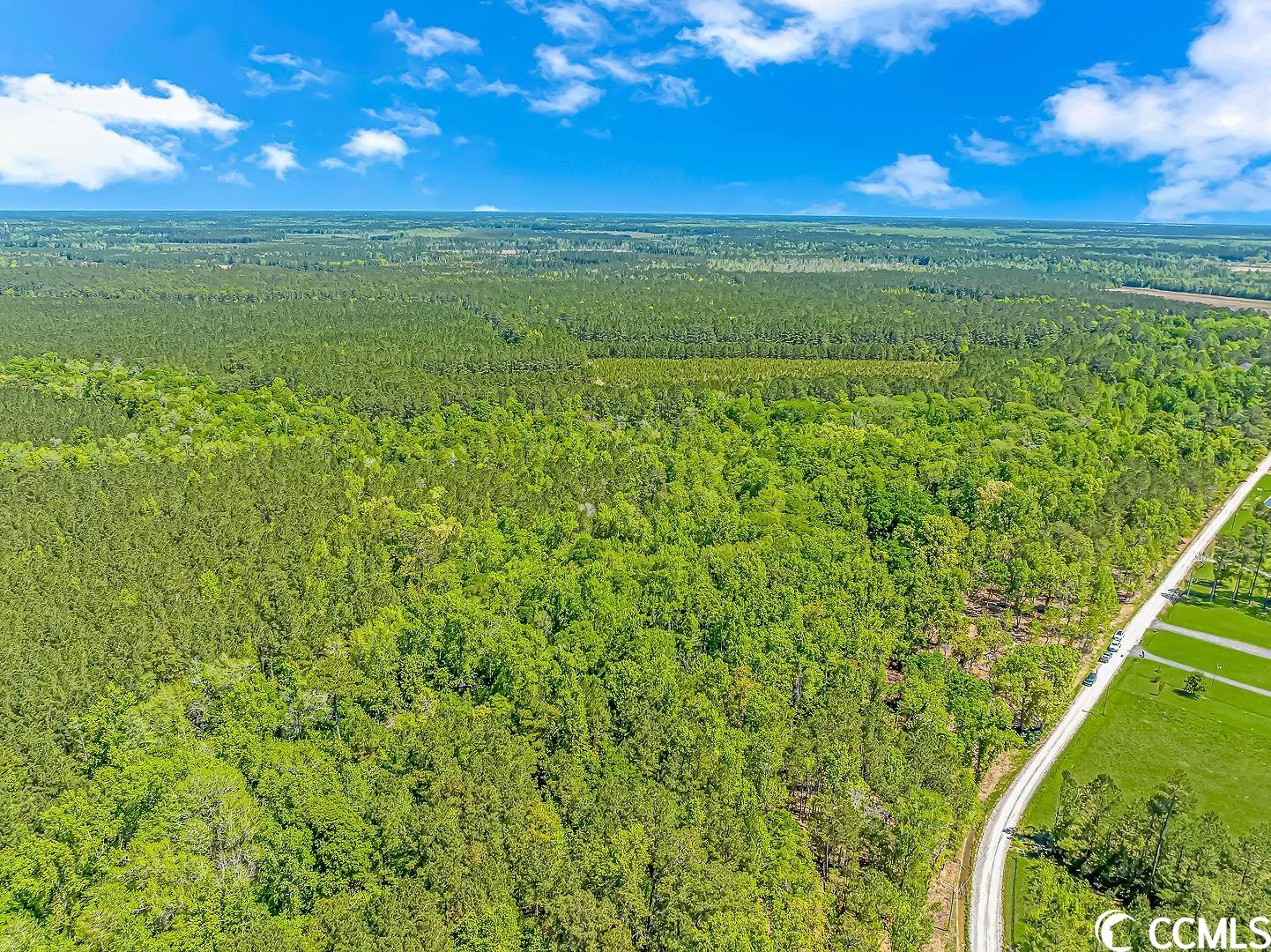 Tbd Tranquil Road Conway, SC 29527 - Photo 12 of 12