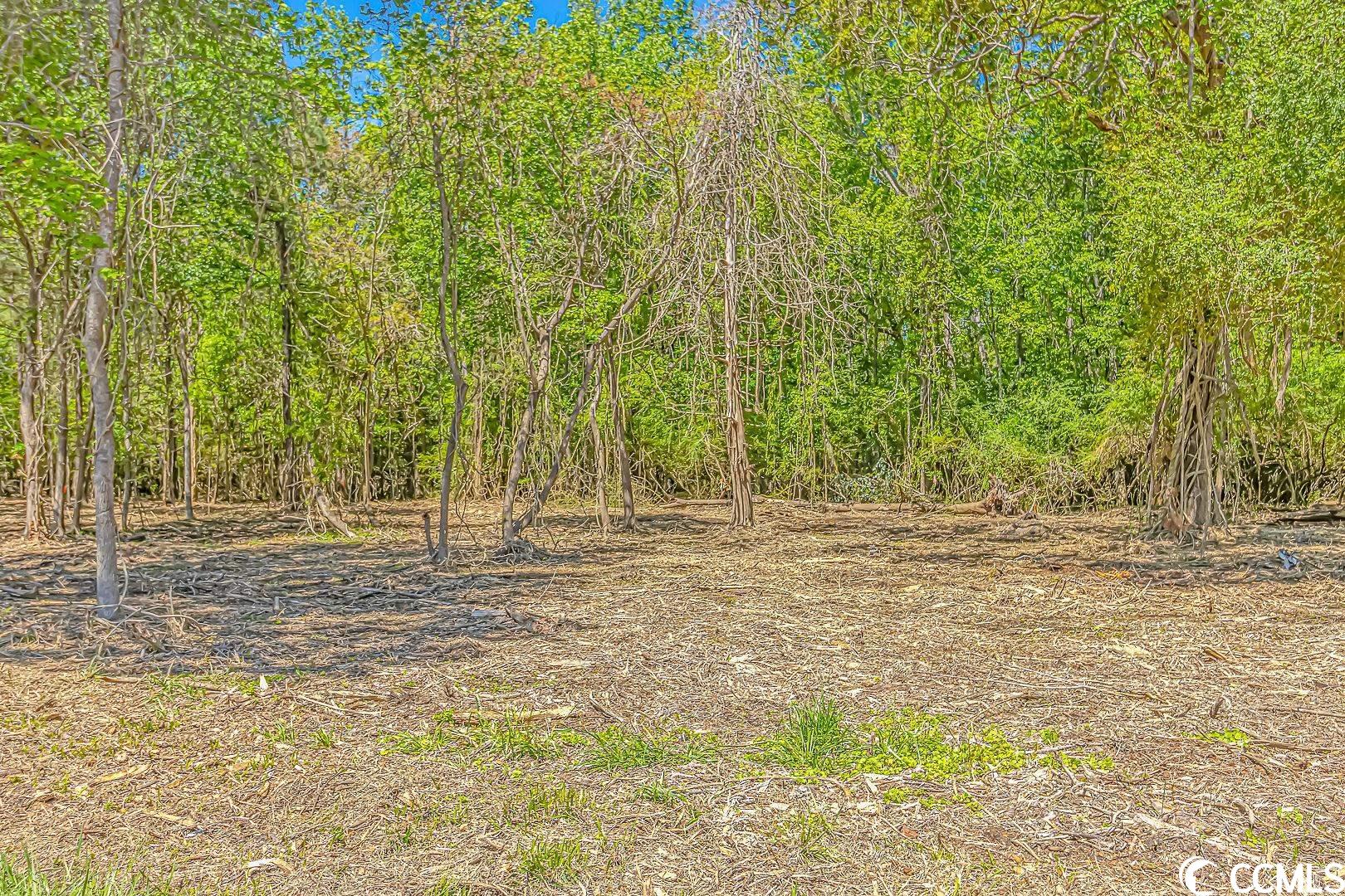 Tbd Tranquil Road Conway, SC 29527 - Photo 2 of 12