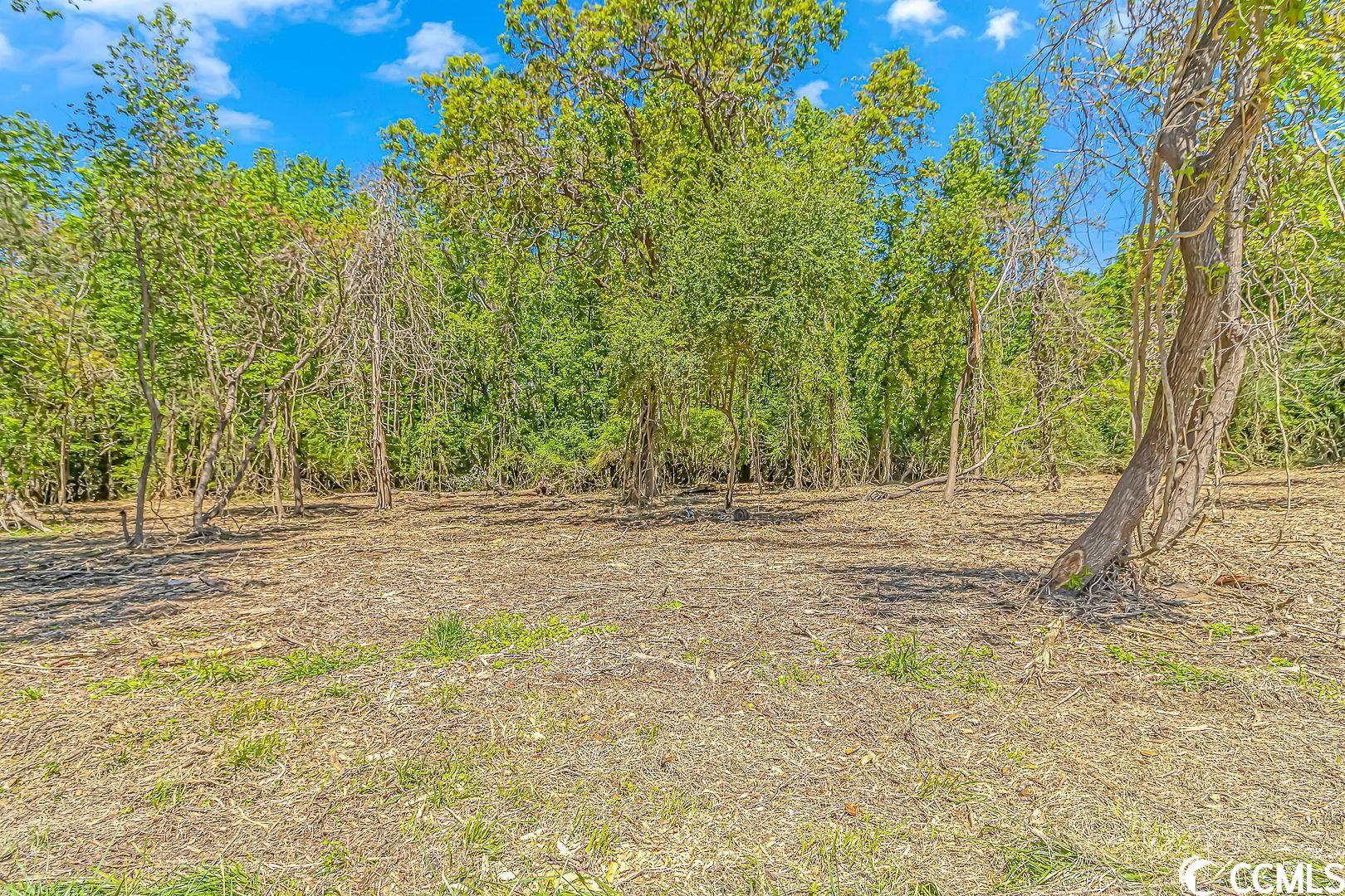 Tbd Tranquil Road Conway, SC 29527 - Photo 3 of 12