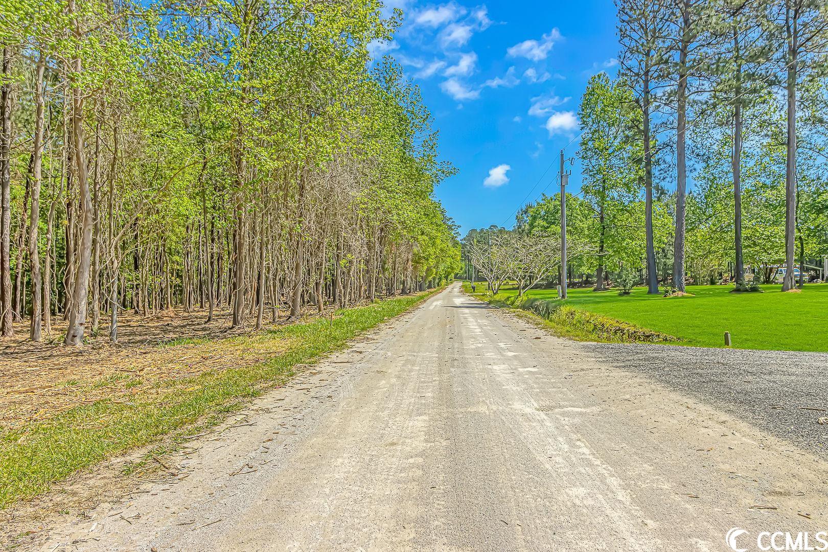 Tbd Tranquil Road Conway, SC 29527 - Photo 4 of 12