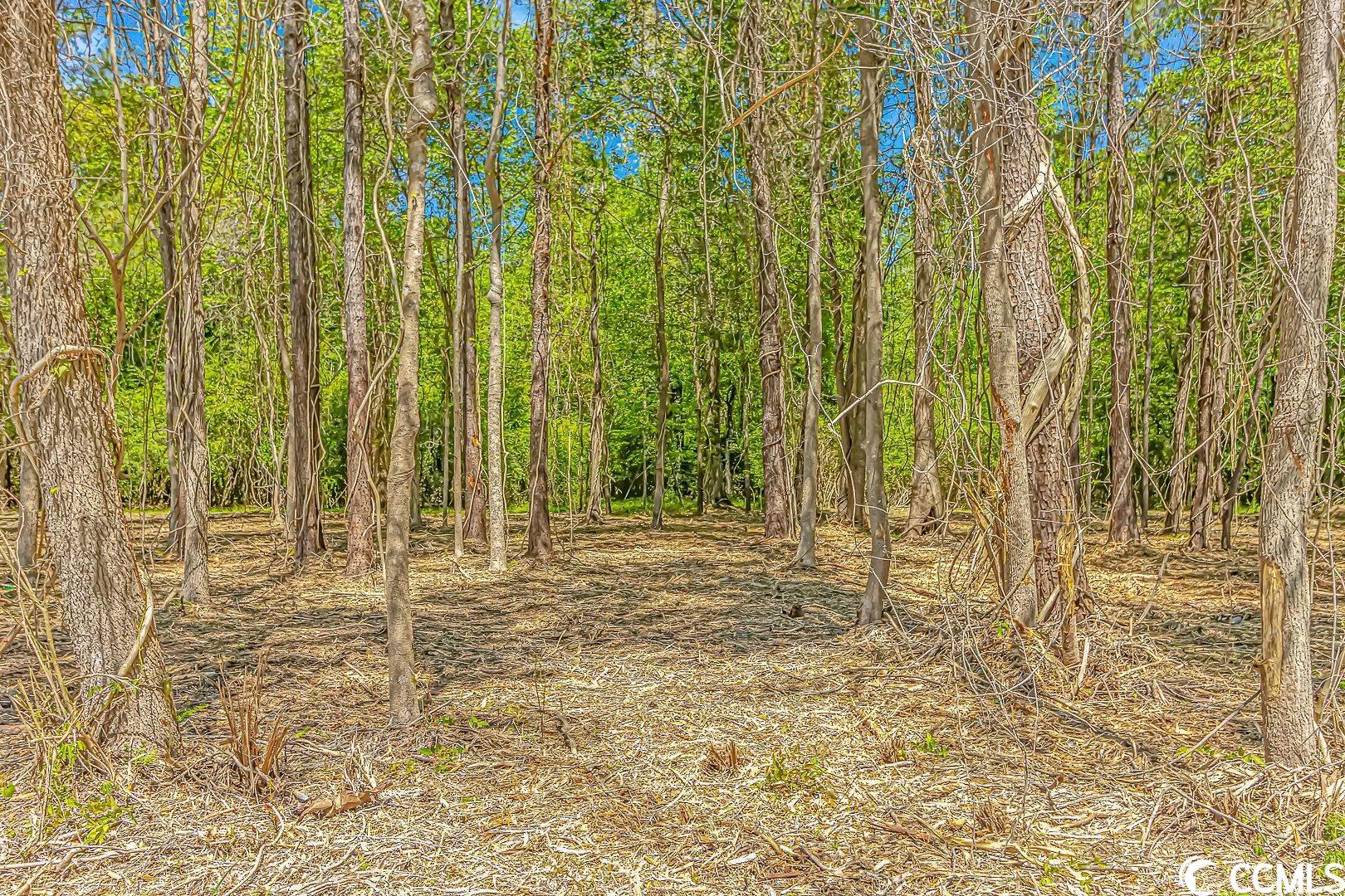 Tbd Tranquil Road Conway, SC 29527 - Photo 5 of 12