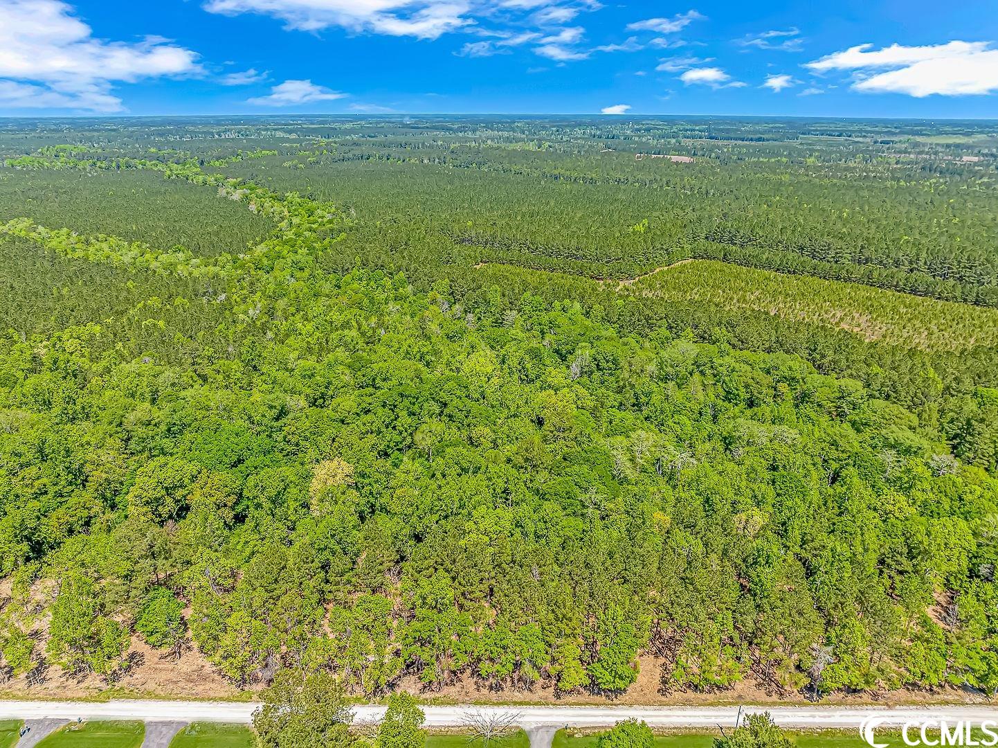 Tbd Tranquil Road Conway, SC 29527 - Photo 7 of 12