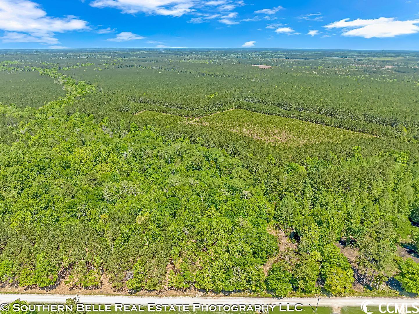 Tbd Tranquil Road Conway, SC 29527 - Photo 8 of 12