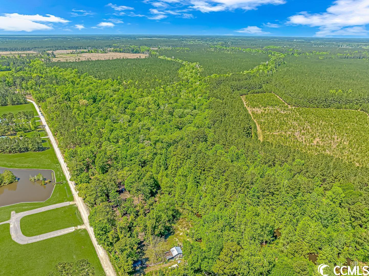Tbd Tranquil Road Conway, SC 29527 - Photo 9 of 12