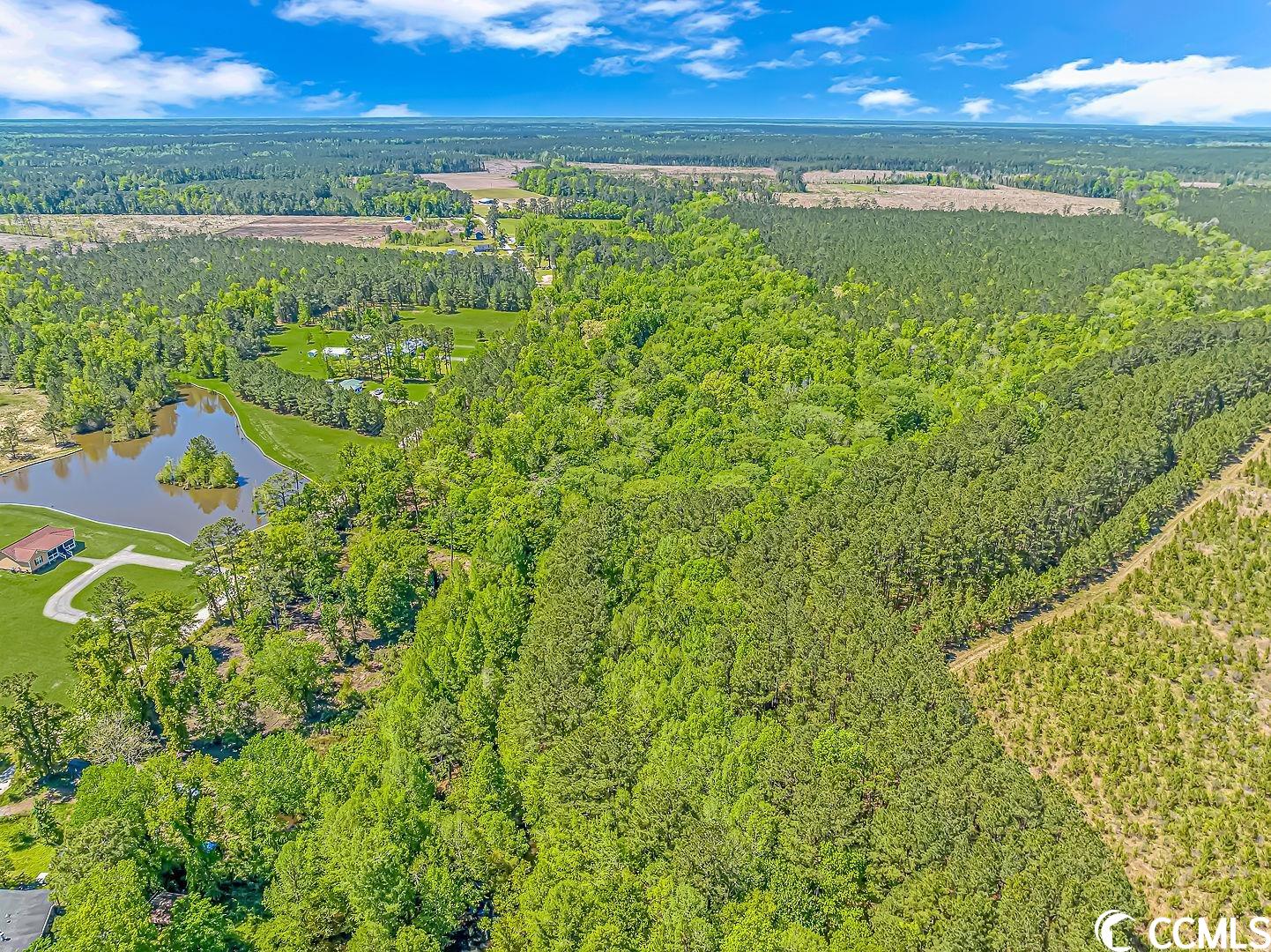 Tbd Tranquil Road Conway, SC 29527 - Photo 10 of 12