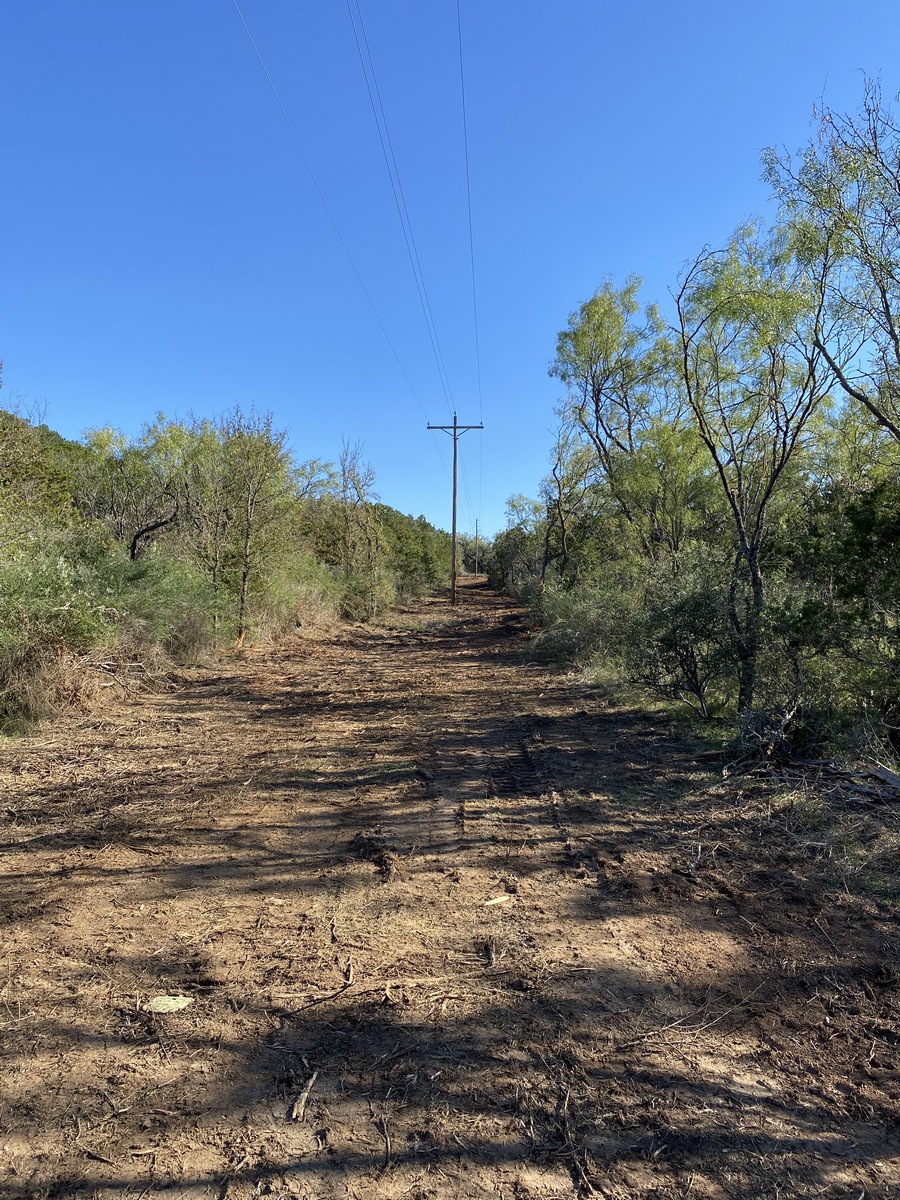 0 Ranch Road 2241 Tow, TX 78672 - Photo 30 of 33 A rural property with mature trees lining a dirt path, offering a serene, natural setting.
