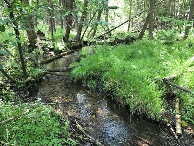 West County Line Road Marion, MI 49665 - Photo 1 of 12 sikkema 4