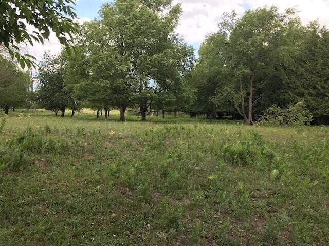 West County Line Road Marion, MI 49665 - Photo 11 of 12 sikkema 1