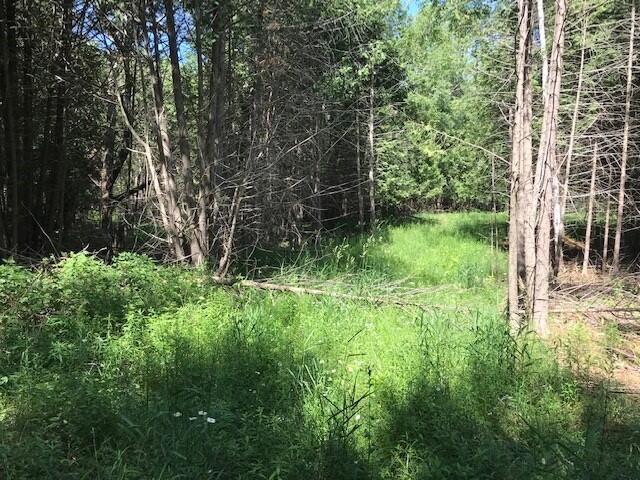 West County Line Road Marion, MI 49665 - Photo 2 of 12 sikkema 9