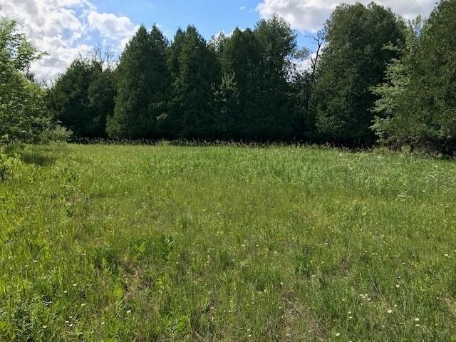 West County Line Road Marion, MI 49665 - Photo 5 of 12 sikkema 12