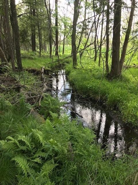 West County Line Road Marion, MI 49665 - Photo 6 of 12 sikkema 5