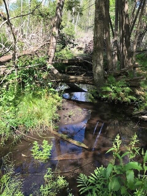 West County Line Road Marion, MI 49665 - Photo 7 of 12 sikkema 6