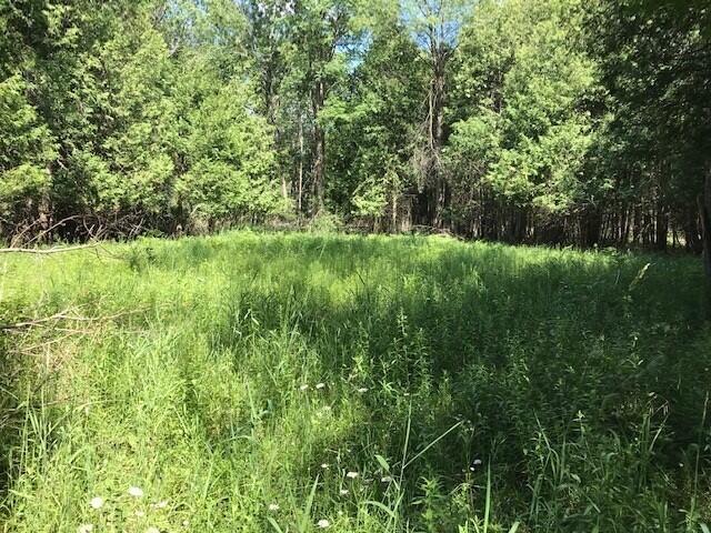 West County Line Road Marion, MI 49665 - Photo 9 of 12 sikkema 8