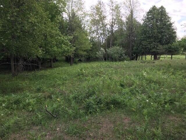 West County Line Road Marion, MI 49665 - Photo 10 of 12 sikkema 2