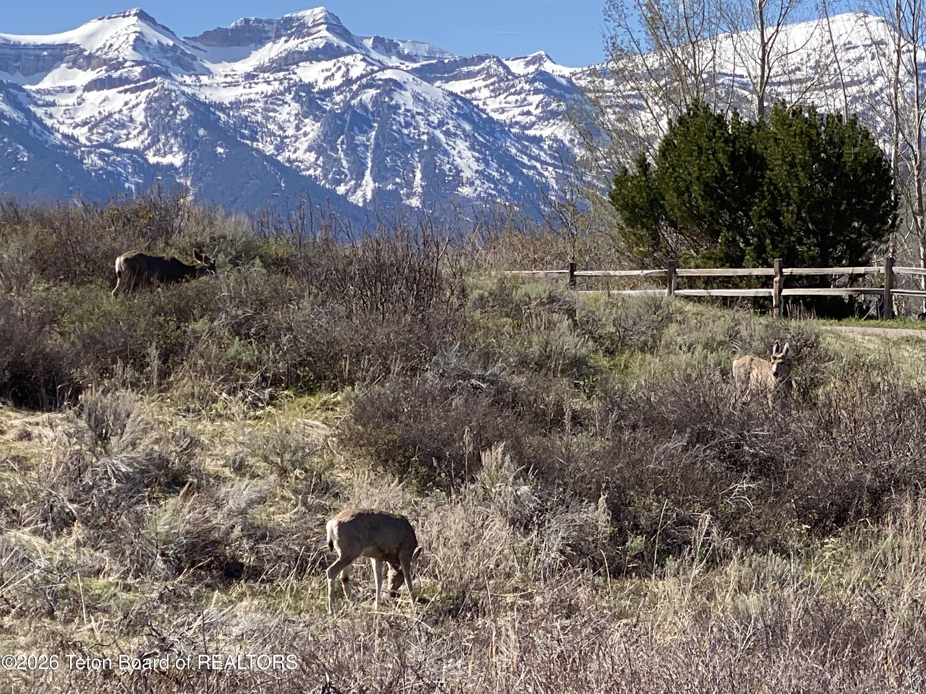 2025 North Spirit Dance Road Jackson, WY 83001 - Photo 12 of 14 1