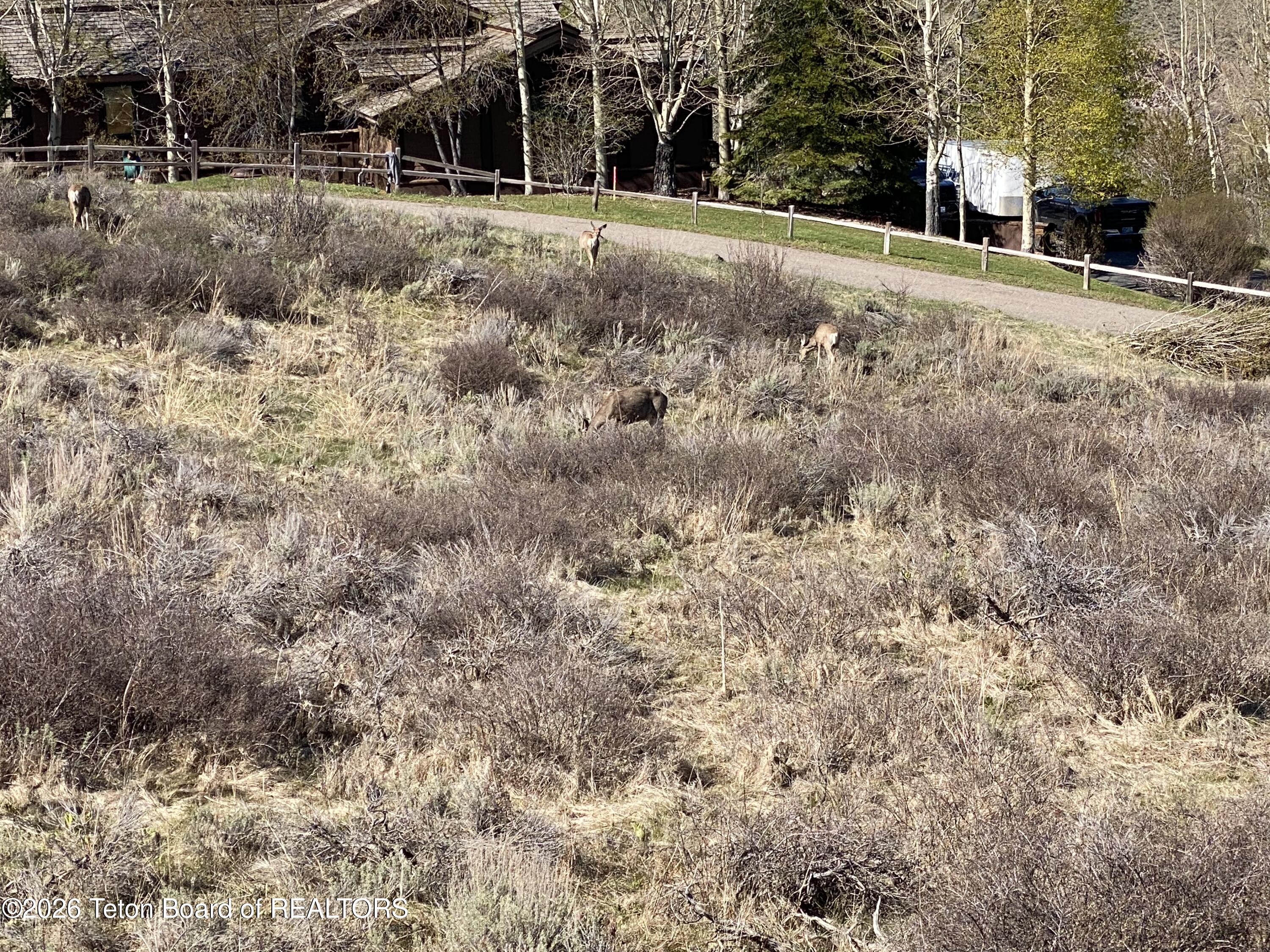 2025 North Spirit Dance Road Jackson, WY 83001 - Photo 13 of 14 13