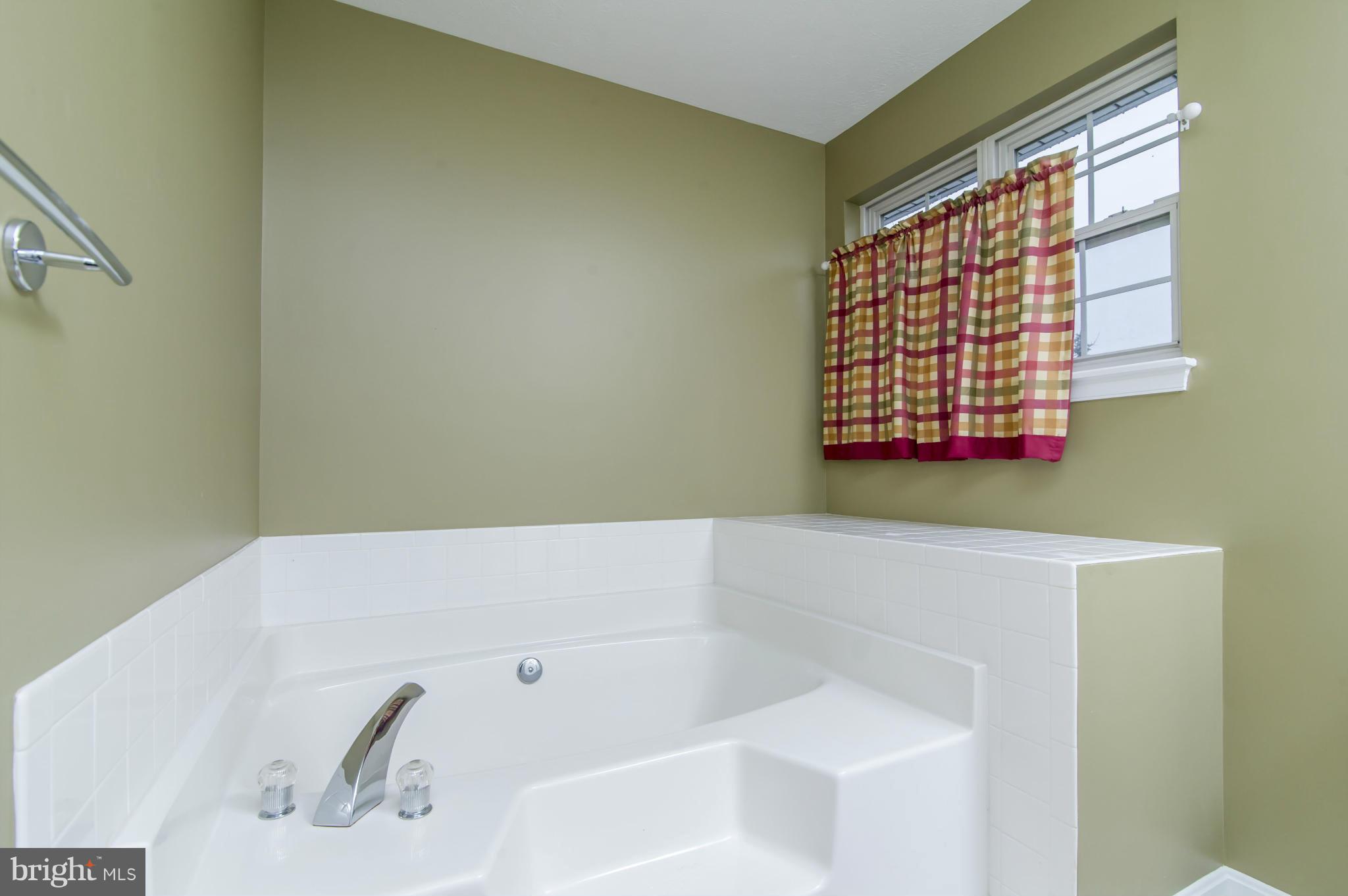 4500 Summer Ridge Court Mount Airy, MD 21771 - Photo 18 of 20 Bath (Master)