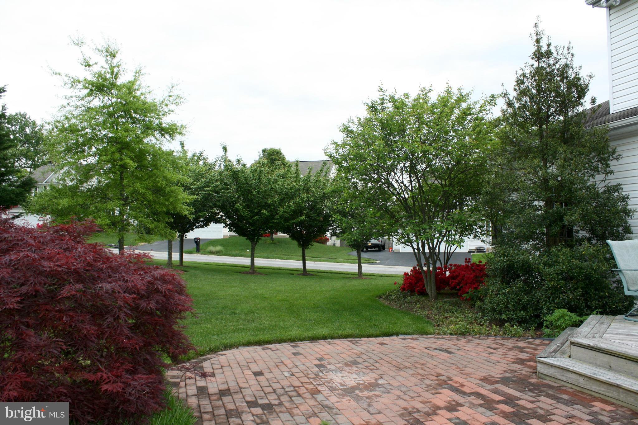 Exterior (Rear)