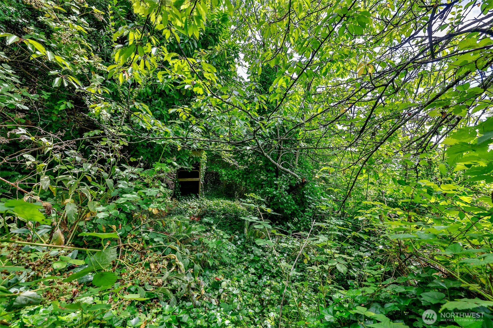 0 West Adams Street Hoquiam, WA 98550 - Photo 12 of 14 a view of a lush green space