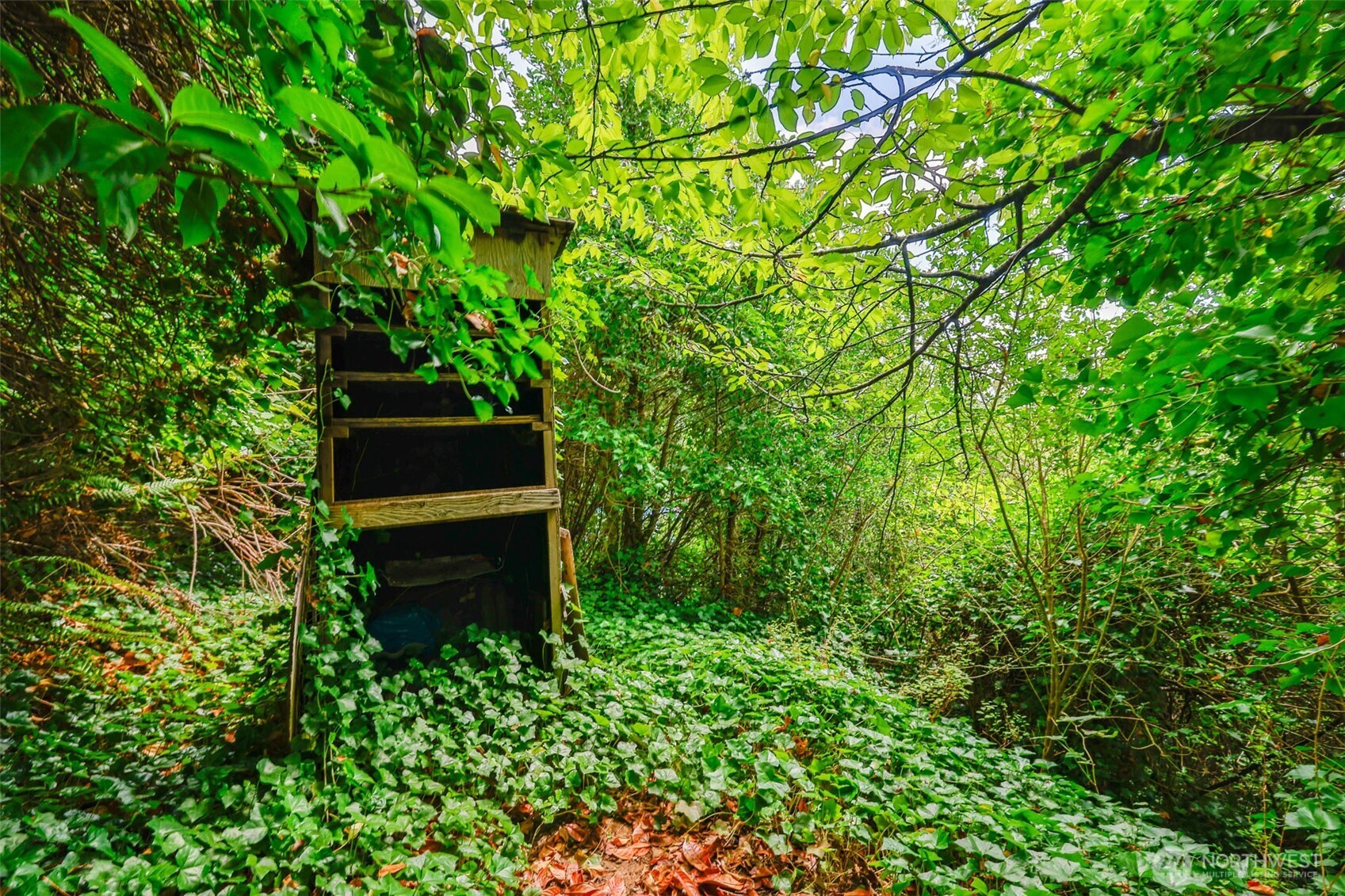 0 West Adams Street Hoquiam, WA 98550 - Photo 13 of 14