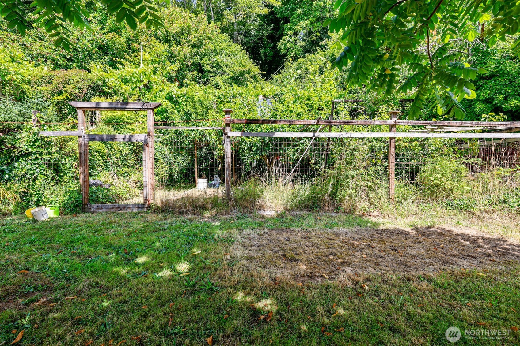 0 West Adams Street Hoquiam, WA 98550 - Photo 9 of 14 a view of a yard with plants and large trees