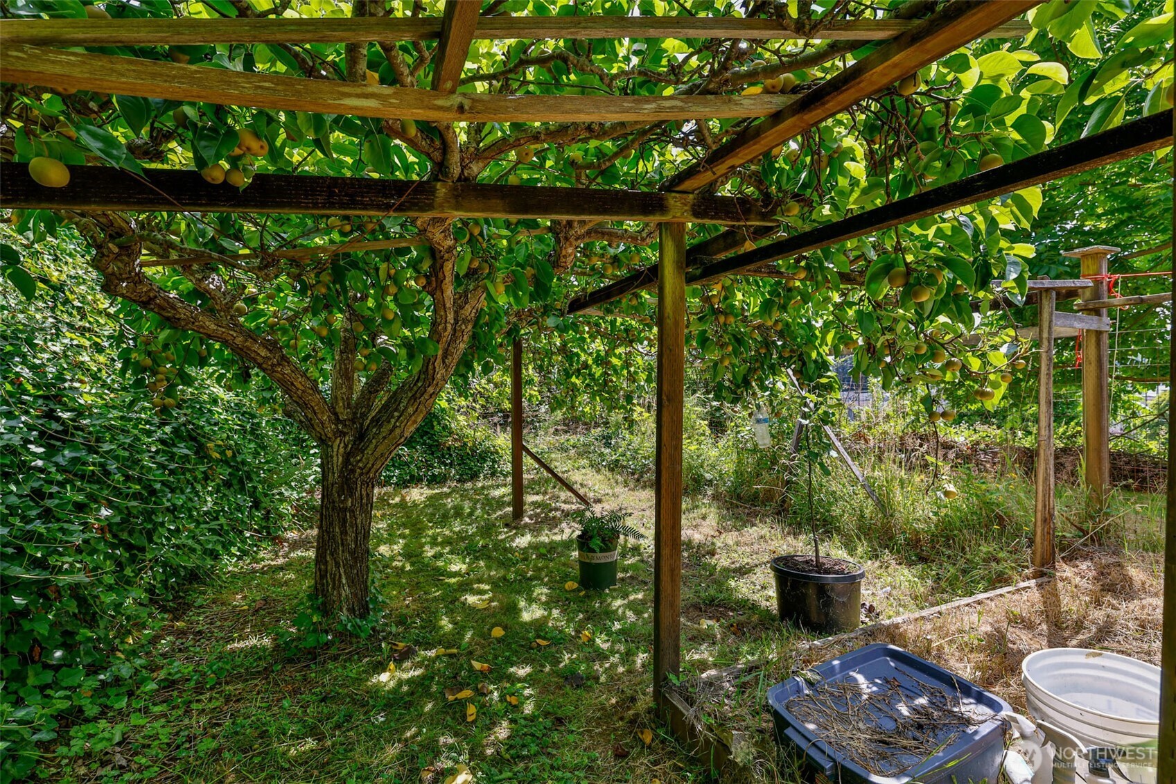 0 West Adams Street Hoquiam, WA 98550 - Photo 10 of 14 a backyard of a house with lots of green space